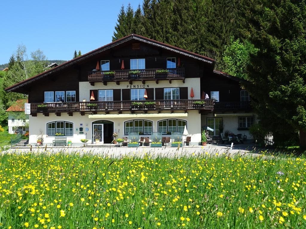 Pension Bayrhammer Faistenau Exterior photo
